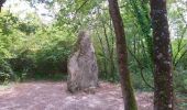 Tour Wandern Unknown - Druye - Sentier du menhir - 14km 95m 2h50 - 2019 08 03 - Photo 2