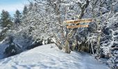 Tocht Sneeuwschoenen Lans-en-Vercors - départ les barnes Lans - Photo 2