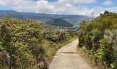 Trail On foot Le Tampon - 3 pitons à Bourg Murat - Photo 6