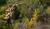 Randonnée Marche Le Castellet - La Bégude - Tête de Nige - Barres de Castillon (tracé court) - Photo 2