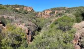 Randonnée Marche Bagnols-en-Forêt - Crête Diaou et gorges du Blavet - Photo 16