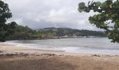 Tocht Stappen Le Robert - Pointe Savane - Plage du Raisiinier - Photo 1