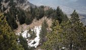 Excursión Senderismo Saint-Pierre-d'Entremont - le Grand Manti au départ de Les Varlat en passant par L'Alpette de la Dame  - Photo 3