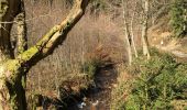 Trail Walking Waimes - Robertville Barrage-Reinhardstein-Bayehon-Xhoffraix-Walk-Robertville - Photo 9