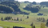 Tour Zu Fuß Thalgau - Fuschl am See Wanderweg - Photo 10