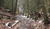 Tour Zu Fuß Monschau - Der Pejo-Weiss-Weg - Photo 5