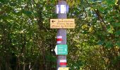 Trail Nordic walking Orcines - Le tour et le sommet du Puy-de-Dôme  - Photo 5