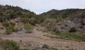 Randonnée Marche Bagnols-en-Forêt - FREJUS - BARRAGE DE MALPASSET DEPUIS COL DE LA GARDIETTE - Photo 17