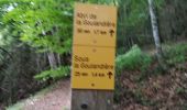 Trail Walking Presles - la Balme Riendre - Photo 10