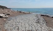 Trail Walking Tardinghen - parking du chapelet  - batterie todt, via campagne, retour par les falaises - Photo 19