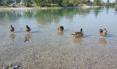 Excursión Senderismo Lapalud - lac des Girardes - Photo 2