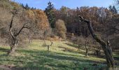 Percorso A piedi Žernov - NS Jakuba Míly - Photo 9