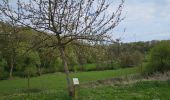 Trail Walking Chimay - A la découverte de Lompret 🥾 - Photo 1