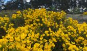 Tour Wandern Pied-de-Borne - Le tour du chassezac - Photo 12