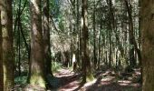 Tour Wandern Brassac - Brassac - Sur les hauteurs de l'Agout - Col de la cime du Ser - Photo 5