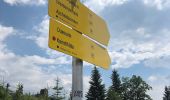 Excursión A pie Stadt Kufstein - Brentenjoch-Trail - Photo 7