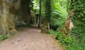 Tour Wandern Ottrott - RDPR Mont St Odile 250527 apm - Photo 1