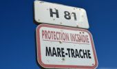 Randonnée Marche Fréjus - Mare Trache depuis l'Auriasque - Photo 6