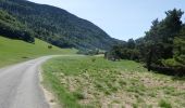 Randonnée Marche Châtillon-en-Diois - La Montagnette par le Pas de la Plane (Combau) - Photo 17