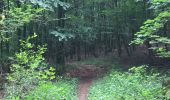 Trail Walking Tintigny - La Rando du Bian: Autour de Lahage  - Photo 6