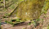 Tour Wandern Lemberg - Lemberg - cascade des Ondines - sentiers des grottes et des étangs - Photo 4