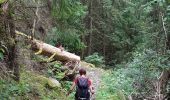 Trail Walking Beaufort - LES CURTILLETS - Photo 6