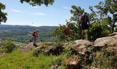 Excursión Senderismo Saint-Affrique - Les Pressoirs - Photo 8