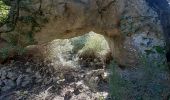 Randonnée Marche La Roquebrussanne - Source des Orris rochers menhirs (83) - Photo 7