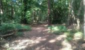 Tour Wandern Andenne - 20190702 Kevret - Photo 15