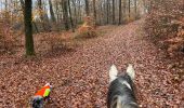 Trail Horseback riding Neufchâteau - Bois de la Fosse - Photo 4