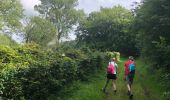 Trail Walking Manhay - Les Deux-Rys - Photo 12