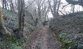 Trail Walking Dalhem - dalhem 4 - Photo 3