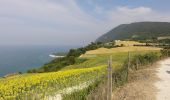 Percorso A piedi Ancona - Traversata del Conero - Photo 2