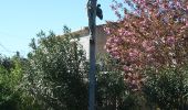 Tour Zu Fuß Fontès - Fontès - Vignes et Volcans - Le Céressou - Photo 6