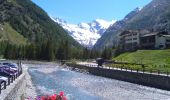 Randonnée A pied Cogne - Alta Via n. 2 della Valle d'Aosta - Tappa 9 - Photo 8
