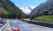 Tour Zu Fuß Cogne - Alta Via n. 2 della Valle d'Aosta - Tappa 9 - Photo 8