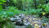 Tocht Stappen Saou - La Grande Combe en Forêt de Saoû - Photo 3