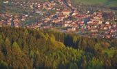 Percorso A piedi Valašské Klobouky - Naučná stezka Královec - Photo 10