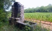 Tour Wandern Flassans-sur-Issole - SityTrail - Flassans rando Redon 2 - Photo 15