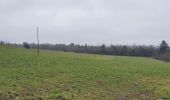 Tour Wandern La Roche-en-Ardenne - rando warempage 10/12/2020 - Photo 20