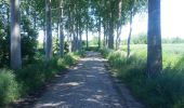 Trail Walking Lokeren - Anders Reizen 2021 Eksaarde - Moervaart wandeling - Photo 9