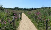 Tour Wandern Cancale - Cancale Port Mer - 15.3km 290m 5h05 - 2017 06 19 - Photo 15