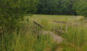 Tour Wandern Chimay - depart poreaupre - Photo 13