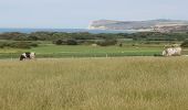 Randonnée A pied Audinghen - circuit du cap gris nez à Wissant - Photo 3