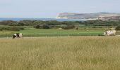 Tocht Te voet Audinghen - circuit du cap gris nez à Wissant - Photo 3