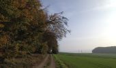 Tocht Te voet Trendelburg - Grenzland-Rundweg 1 - Photo 3