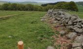 Tour Wandern Marchastel - [06] Compostelle : de Marchastel / Nasbinals à Saint-Chély-d'Aubrac - Photo 13