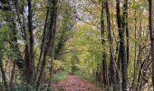 Trail Walking Nivelles - RB-BW - Photo 8