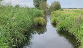 Tocht Stappen Marais-Vernier - Sentier découverte du marais vernier  - Photo 2