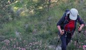 Trail Walking Enchastrayes - L'AUPILLON DEPUIS LE CAMPING 